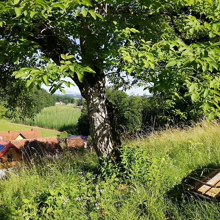 Muster Dominkusch Ii 펜션 *