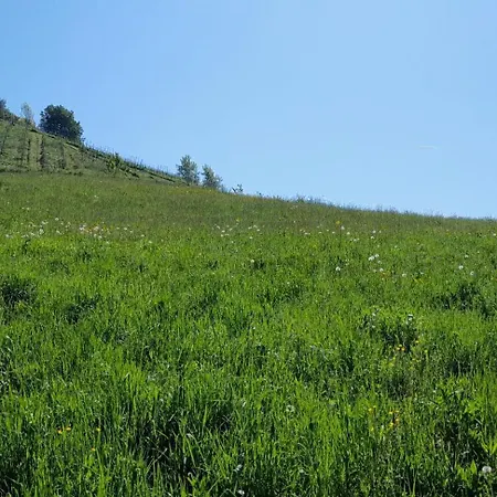 Muster Dominkusch Ii بيت للعطل *