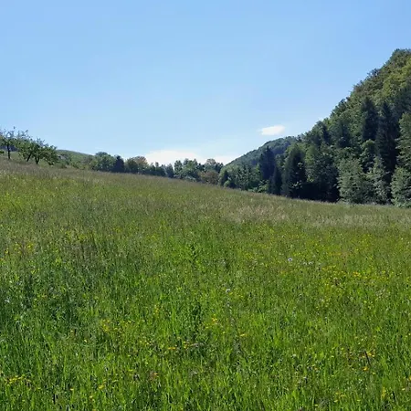 Muster Dominkusch Ii 別荘