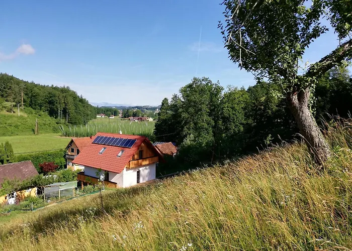 Muster Dominkusch Ii