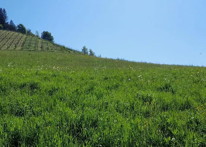 Muster Dominkusch Ii 펜션 *