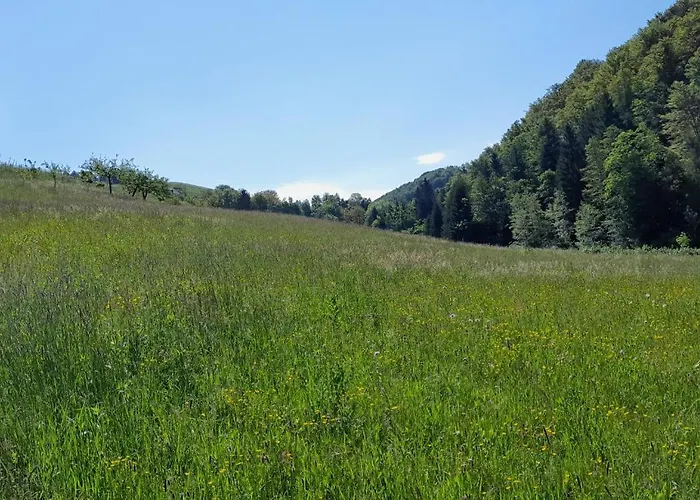 Muster Dominkusch Ii بيت للعطل