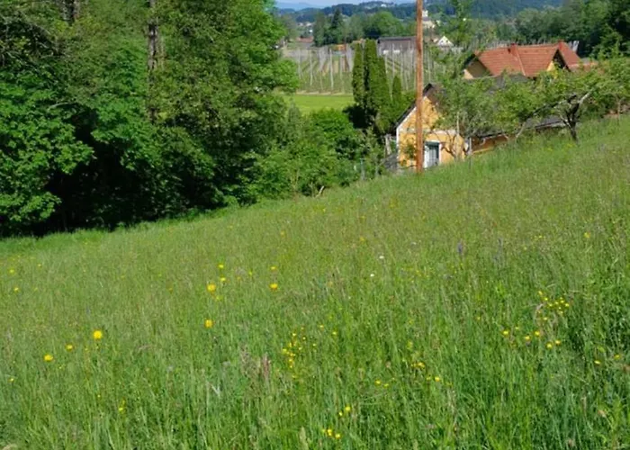 Muster Dominkusch Ii Leutschach